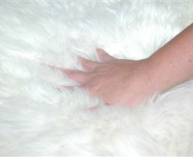 Mortels Sheepskin Factory - Tourism Search 4