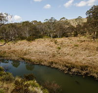 Werrikimbe National Park - Tourism Search
