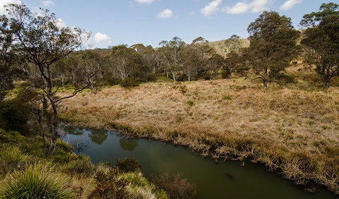Werrikimbe National Park - Tourism Search 0