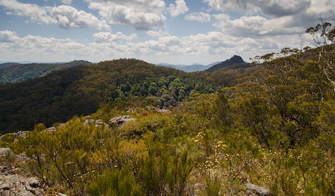 Werrikimbe National Park - Tourism Search 1