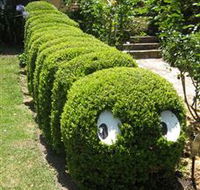 Nutcote - May Gibbs' Home - House Museum - Tourism Search