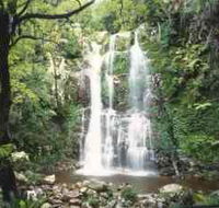 Budderoo National Park - The Falls Walk - Tourism Search