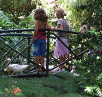 EG Waterhouse National Camellia Garden - Tourism Search