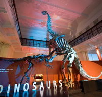 Australian Museum - Tourism Search