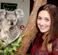 Blackbutt Reserve - Tourism Search