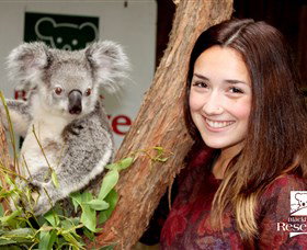 Blackbutt Reserve - Tourism Search 0