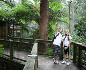 Blackbutt Reserve - Tourism Search 1
