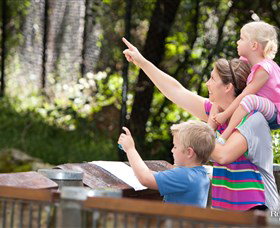 Blackbutt Reserve - Tourism Search 4