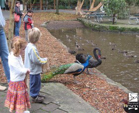 Blackbutt Reserve - Tourism Search 5