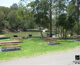 Blackbutt Reserve - Tourism Search 7