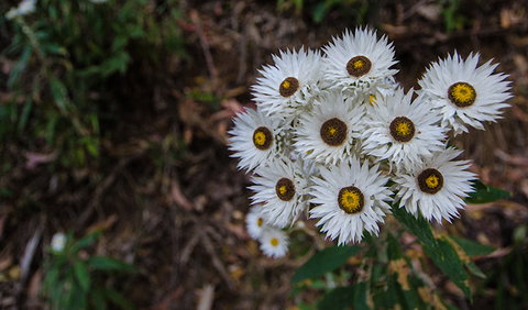 Hastings Forest Way Touring Route - Tourism Search 0