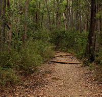 Pigeon House Mountain Didthul walking track - Tourism Search