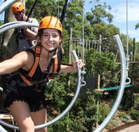 Wild Ropes at Taronga Zoo - Tourism Search