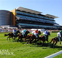 Royal Randwick Racecourse - Tourism Search