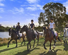 Centennial Parklands - Tourism Search 0