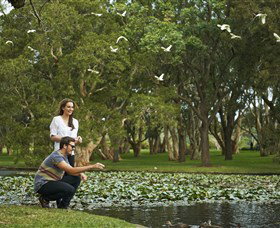 Centennial Parklands - Tourism Search 3