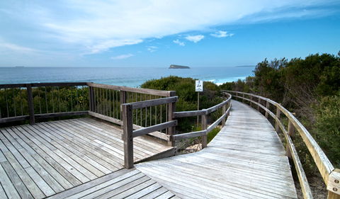 Tea Tree Picnic Area And Lookout - Tourism Search 0
