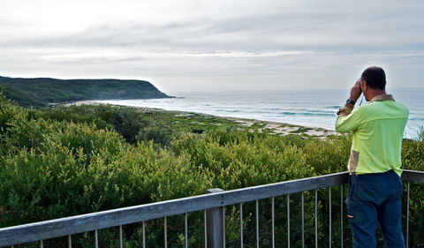 Tea Tree Picnic Area And Lookout - Tourism Search 2