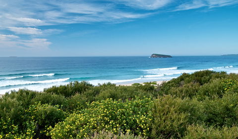 Tea Tree Picnic Area And Lookout - Tourism Search 3