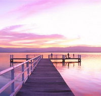Lake Illawarra - Tourism Search