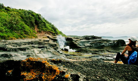 Glenrock State Conservation Area - Tourism Search 0
