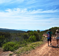 Moonee Beach trail - Tourism Search