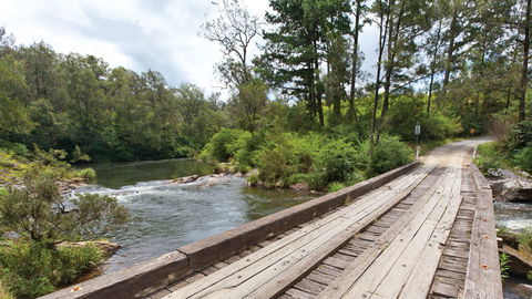 Nymboi-Binderay National Park - Tourism Search 2