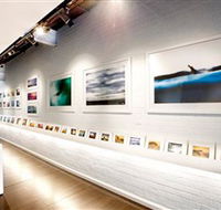 Aquabumps - Tourism Search