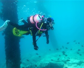 Shellharbour Scuba & Photography Centre - Tourism Search 0
