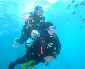 Shellharbour Scuba & Photography Centre - Tourism Search 1