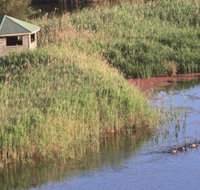 Spring Creek Bird Hide - Tourism Search