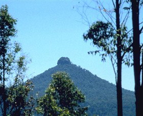 Morton NSW Tourism Search