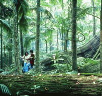 Illinbah circuit - Tourism Search