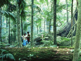 Illinbah Circuit - Tourism Search 0