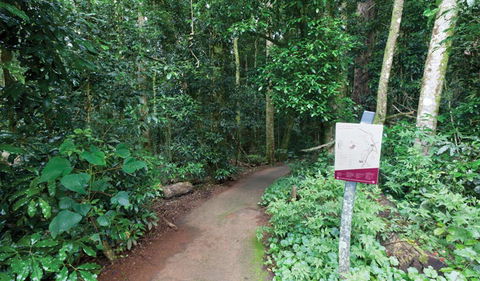 Walk With The Birds Boardwalk - Tourism Search 0