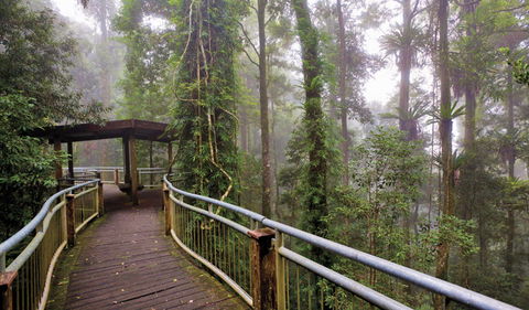 Walk With The Birds Boardwalk - Tourism Search 3