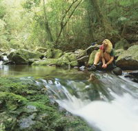 Dave's Creek circuit - Tourism Search