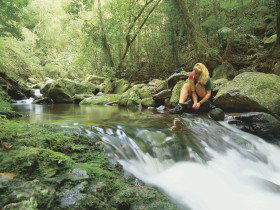 Dave's Creek Circuit - Tourism Search 0