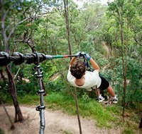 TreeTop Challenge - Tourism Search