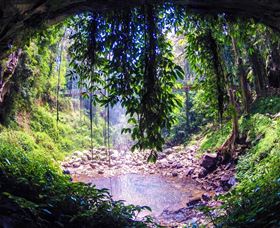 Dorrigo Rainforest Centre - Tourism Search 1