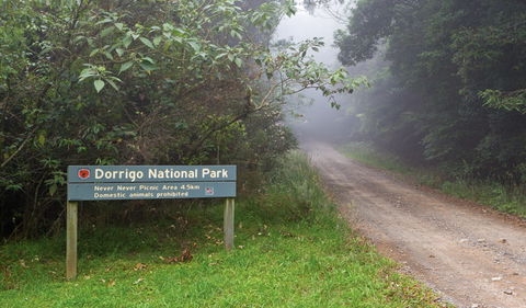 Never Never Picnic Area - Tourism Search 3