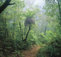 Wagawn - Tourism Search