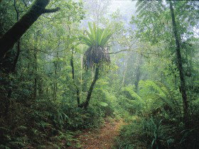 Wagawn - Tourism Search 0