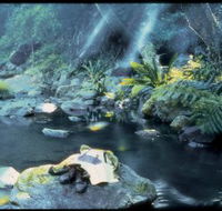 Coomera circuit - Tourism Search