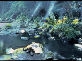 Coomera Circuit - Tourism Search 0