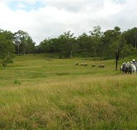 Numinbah Valley Adventure Trails - Tourism Search