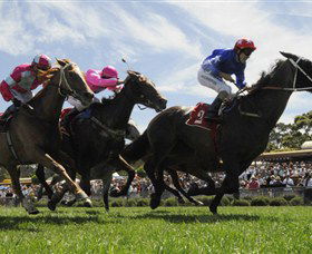 Moruya Racecourse - Tourism Search 0