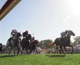 Moruya Racecourse - Tourism Search 1