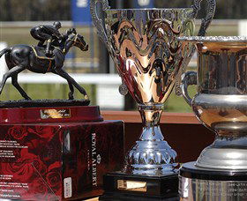 Moruya Racecourse - Tourism Search 4