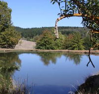 Oak Grove Walk Balingup - Tourism Search